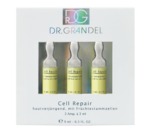 WIRKSTOFF-AMPULLEN DR. GRANDEL Cell Repair Ampulle Reparierende, verjüngende Ampulle mit Früchtestammzellen