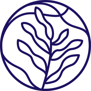 Logo der PHYRIS Linie BLOSSOM